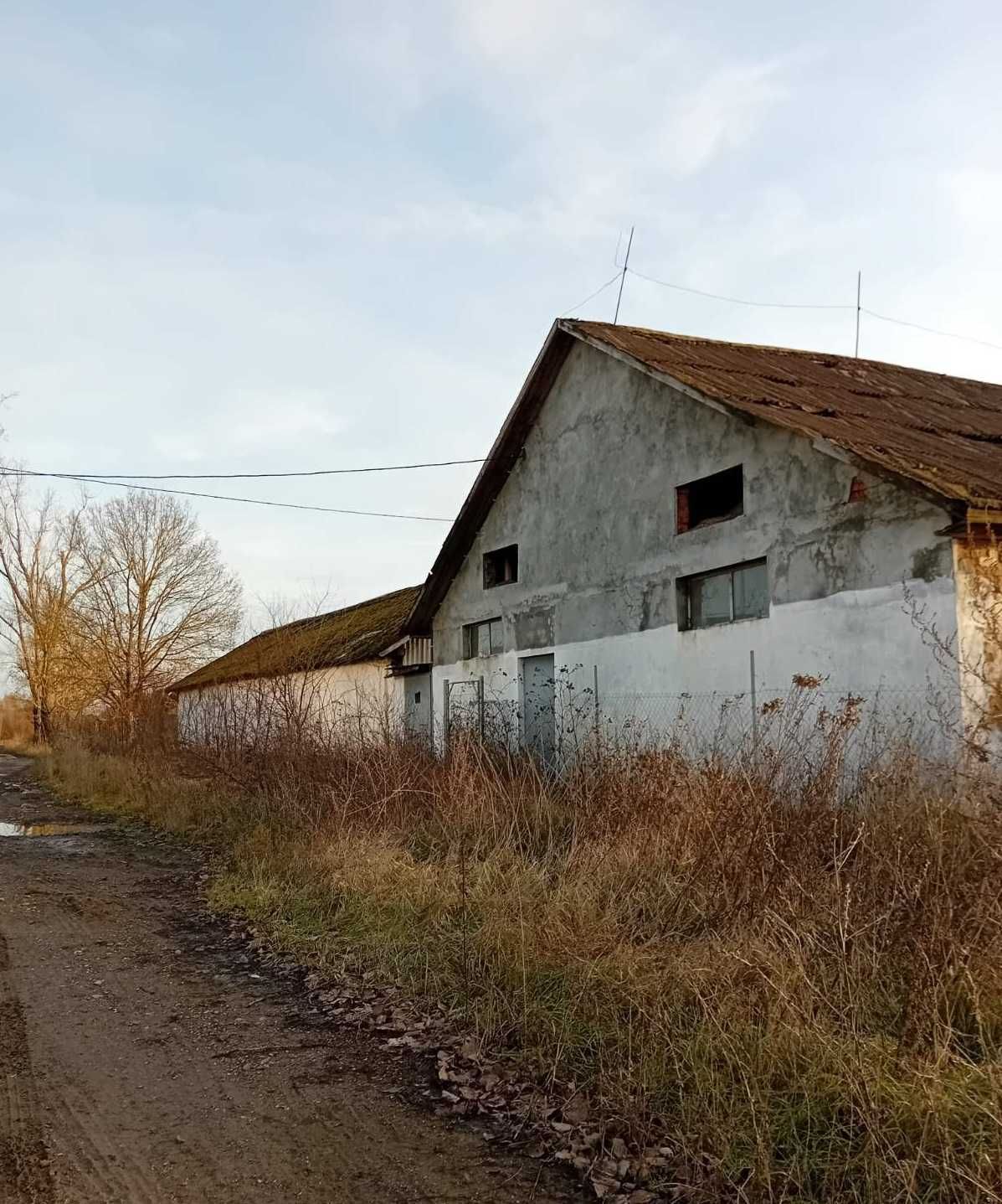 Склад 800 м2 Закарпаття