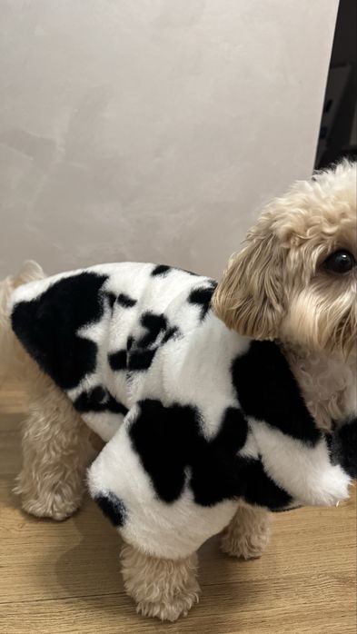 Куртка для собак