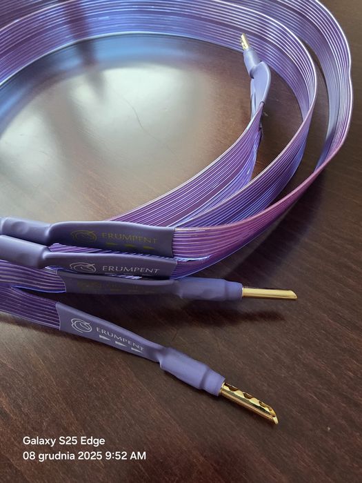 Kable głośnikowe Erumpent