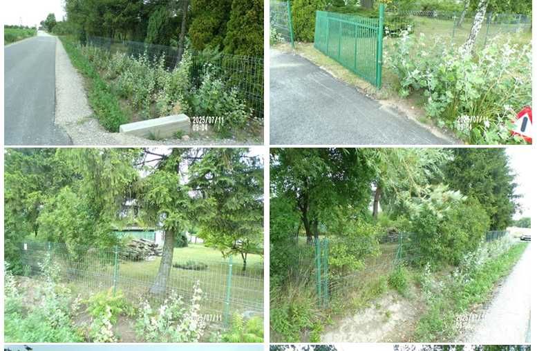 1/2 udziału w nieruchomości gruntowej, Gmina Daszyna, Mazew