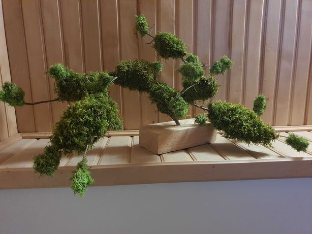 Drzewko bonsai ...