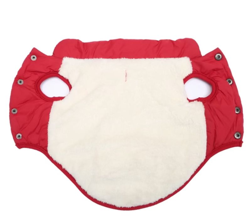 Одяг для маленьких собак і котів