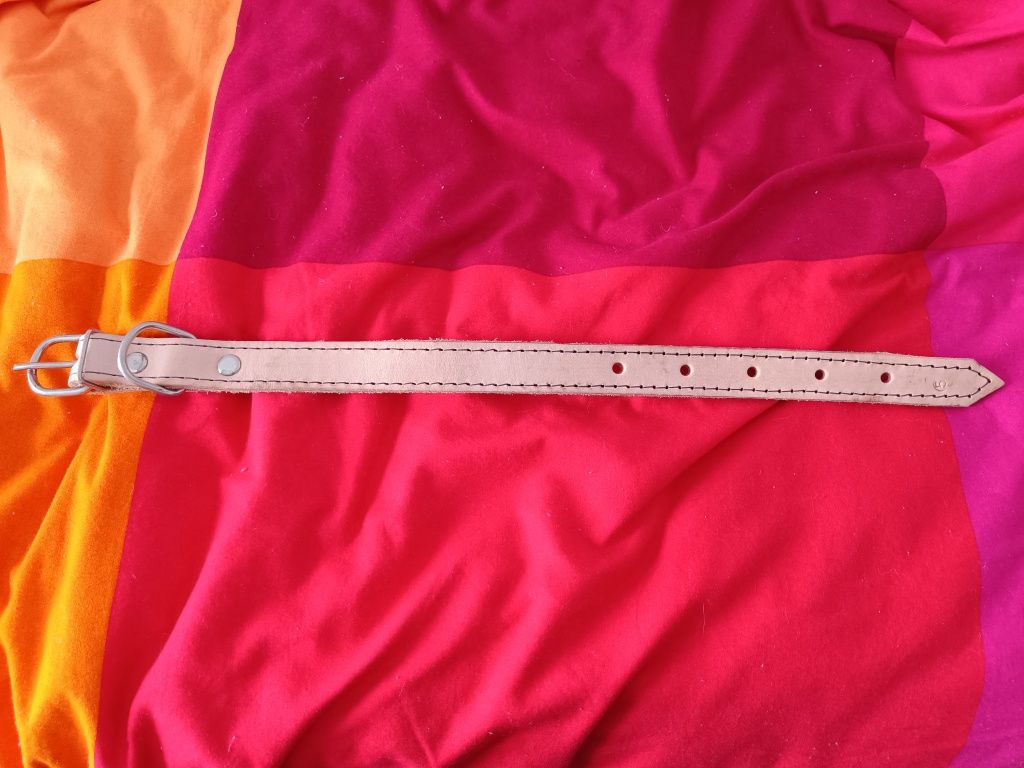 Coleira para cão em pele, tamanho 5 com 47 CMS. Nova sem etiqueta.
