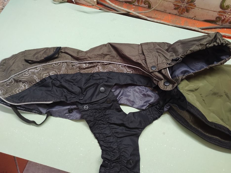 Conjunto casacos cão