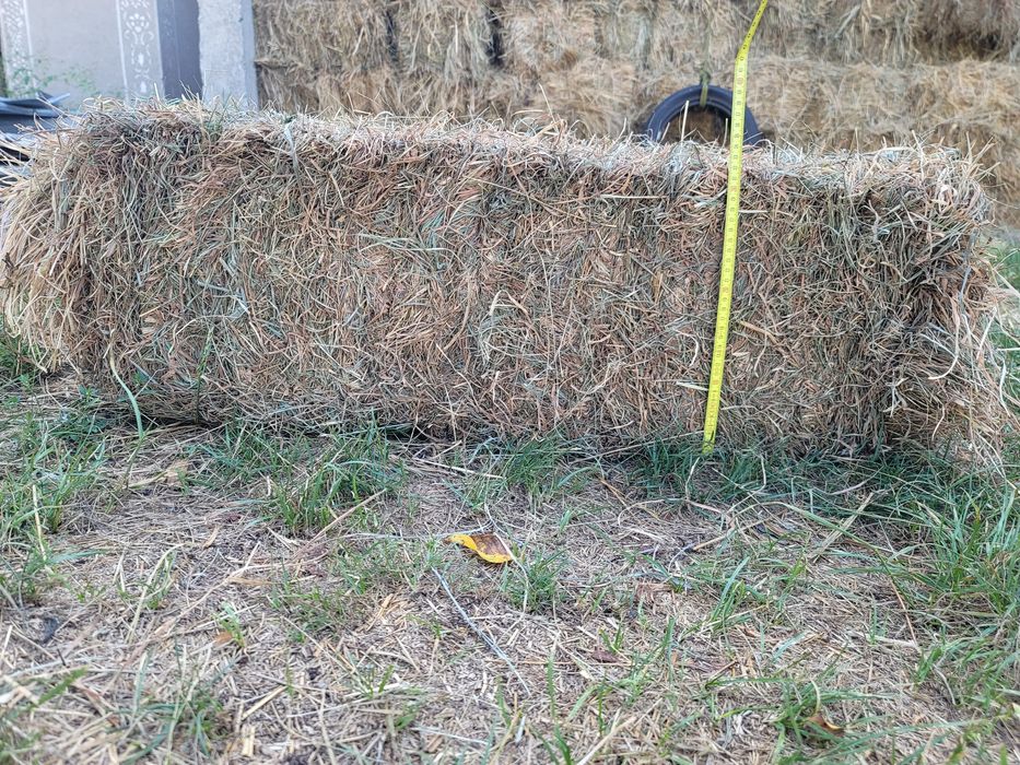 Сіно в тюках 2025 (солома, пшениця)
