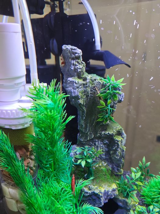 Dwa kompletne akwaria 30L i 10L + mnóstwo akcesoriów