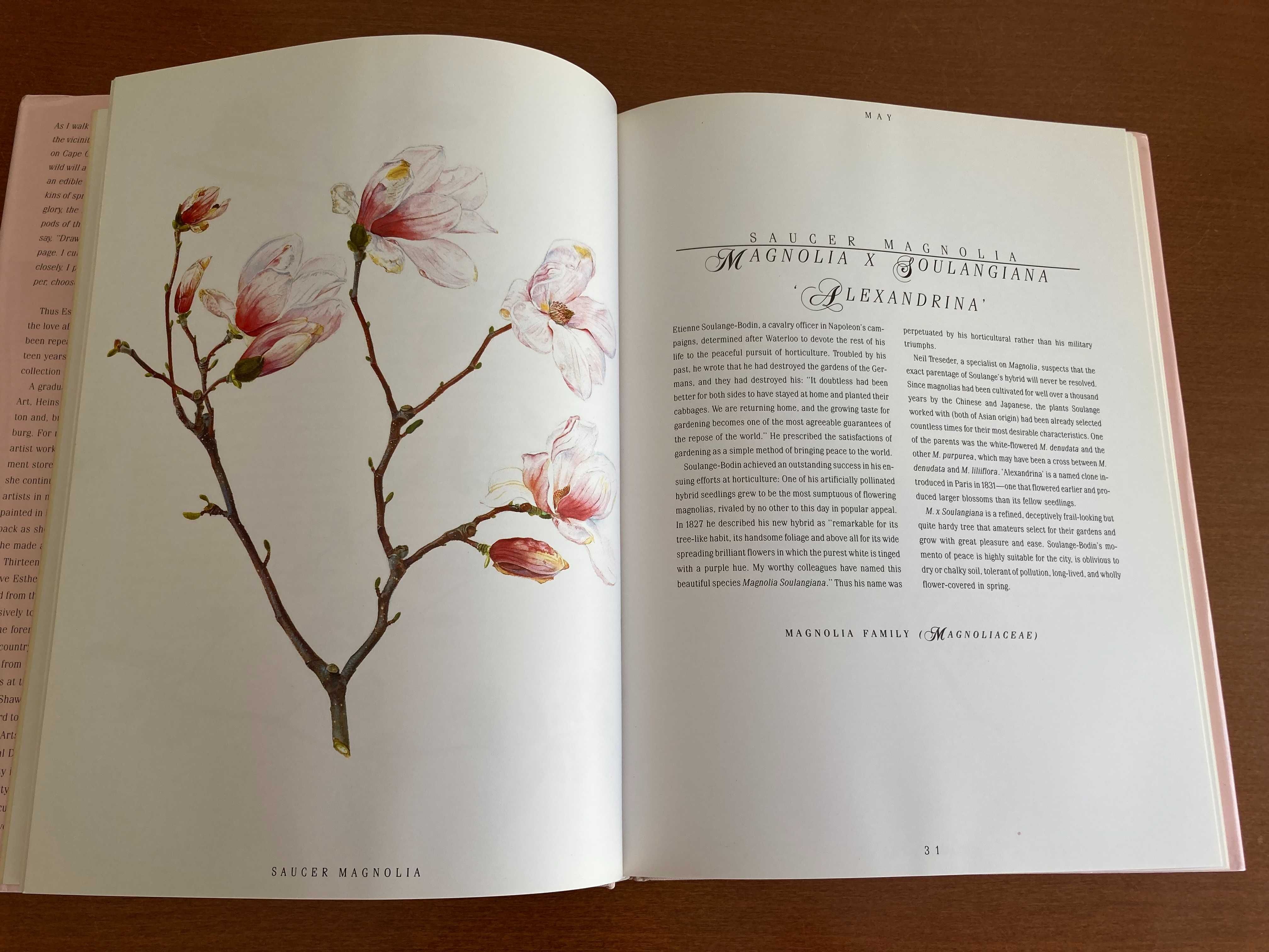 Flowering Trees and Shrubs: The Botanical Paintings of Esther Heins