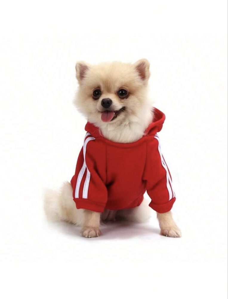 Camisola para cão