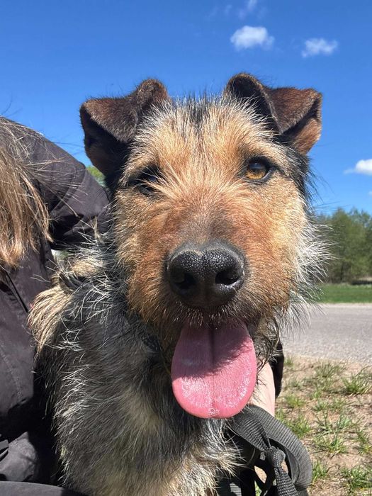 Kokos - pies z wielkim sercem i mnóstwem energii