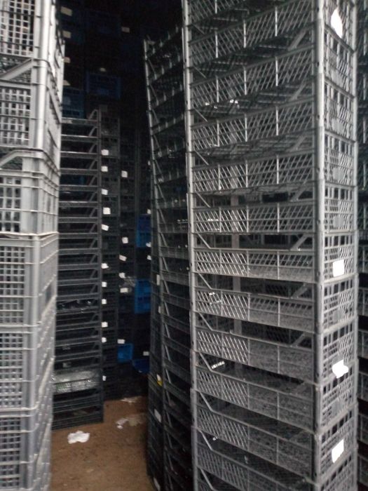 ящик пластиковый для рассады