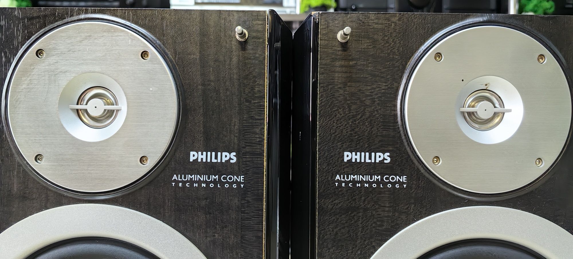 2-х полосна акустика Philips MZ-9/6Ω