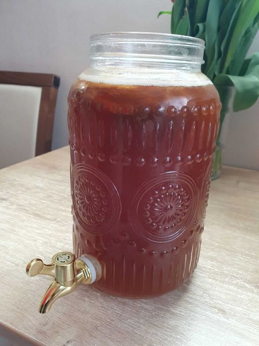 Kombucha (kombucza) grzybek herbaciany