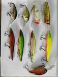 Amostras pesca variadas
