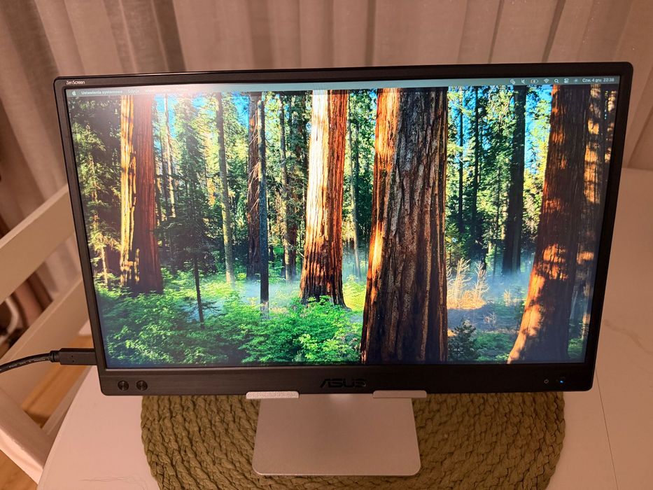 Monitor Asus ZenScreen 15.6