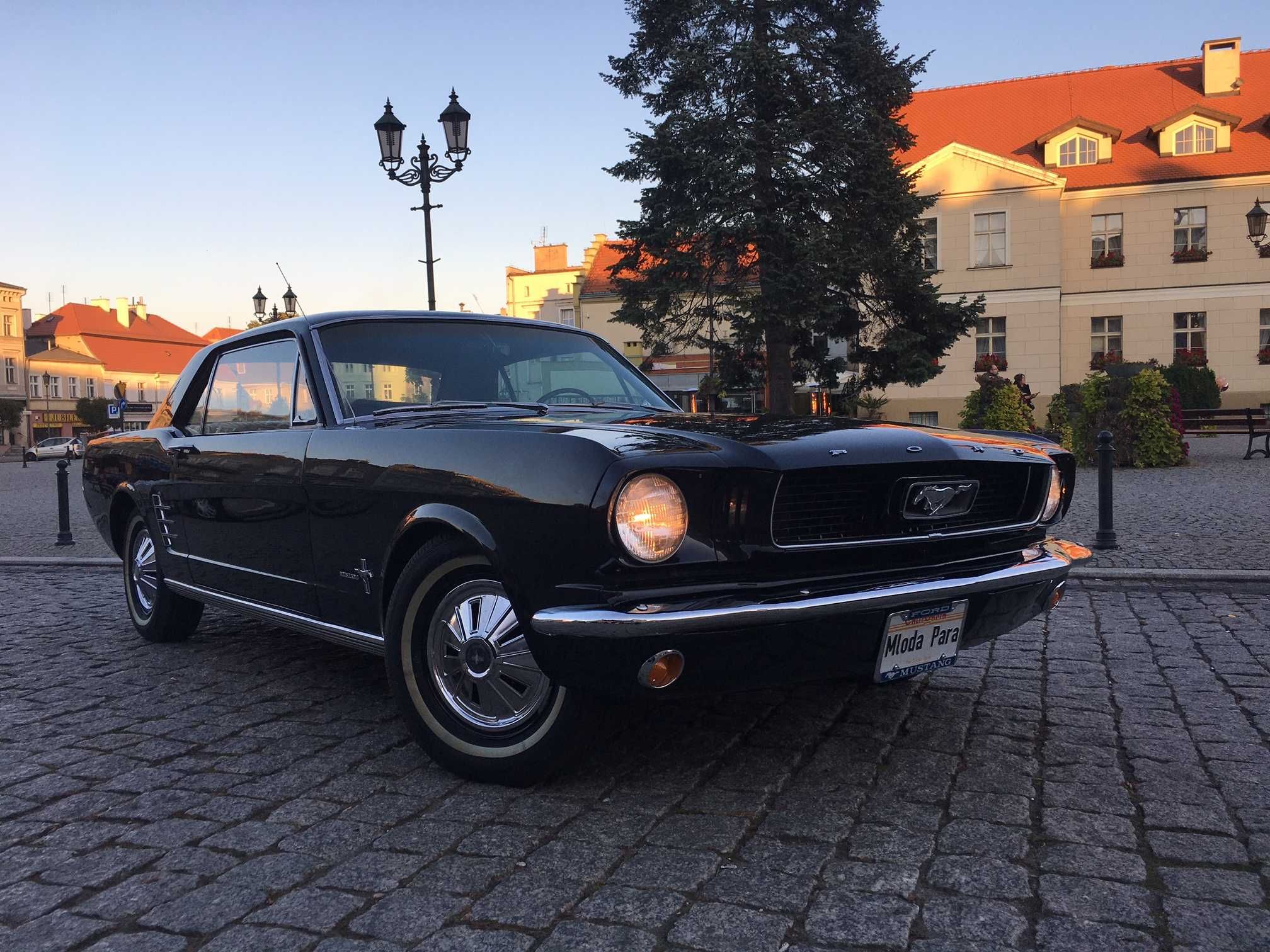 Do Wynajęcia Ford Mustang 1966 ŚLUB Wesele Wynajem