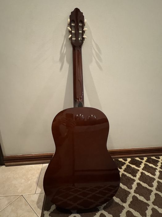 Viola + Capa de transperte