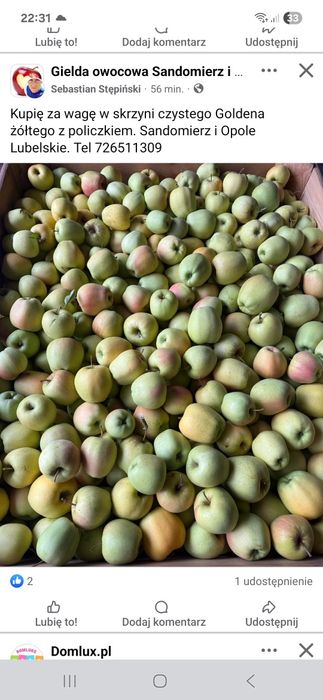 Jabłko  mieszane mix