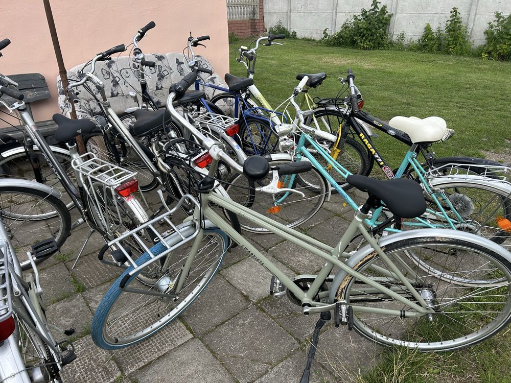 Rower gazelle, giant, batavus