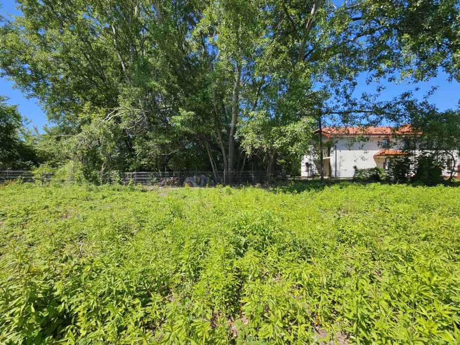 Urokliwa duża działka w Bieniewicach 13 minut od PKP