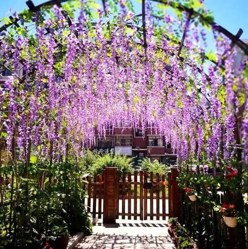 Girlanda Sztuczne Kwiaty Bluszcz Wisteria Dekoracja Kwiatowa Fioletowa