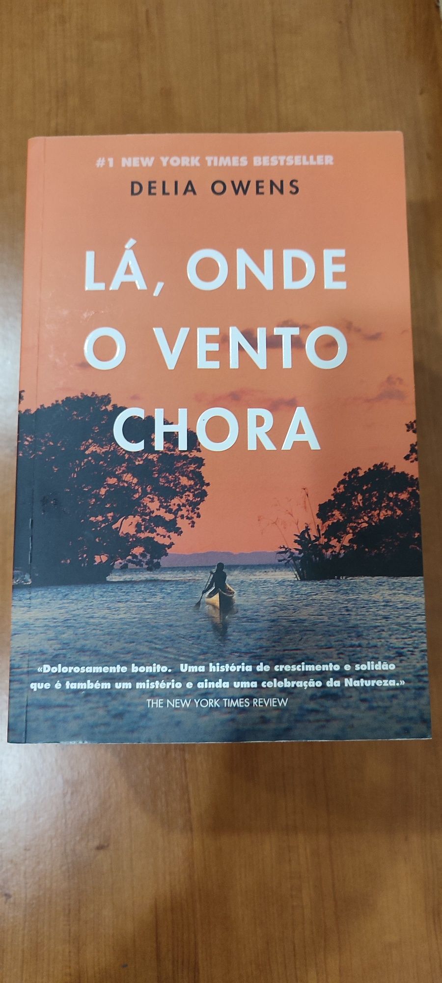 Livros usados em excelente estado