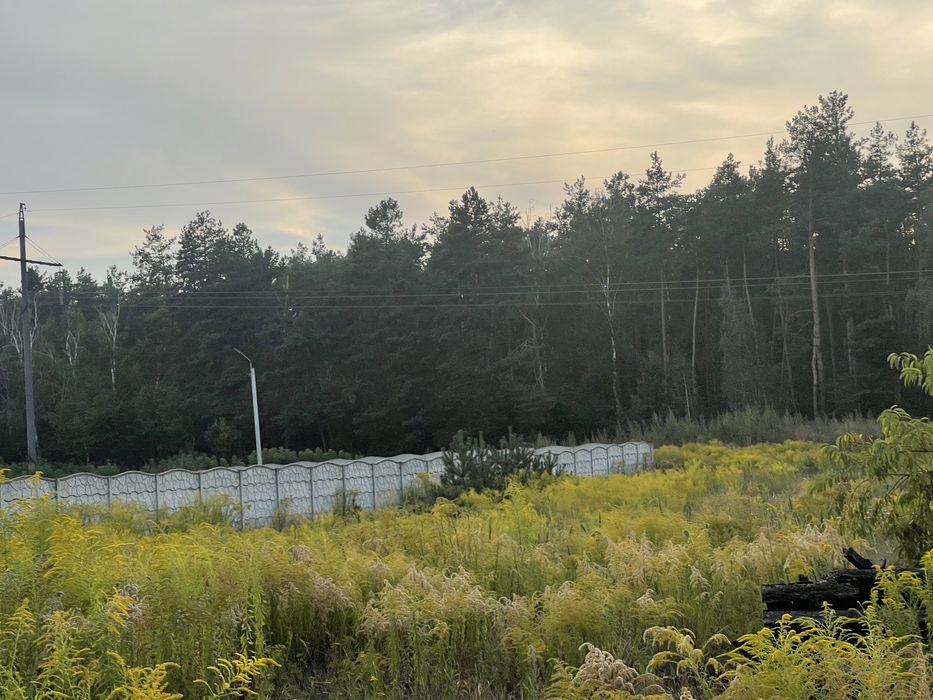 ЩАСЛИВЕ Продається Пейзажна Ділянка 15 соток вул. Соснова 70000$