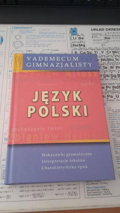 Vademecum gimnazjalisty język polski lektury opracowania jak pisać