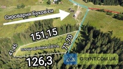 Земельна ділянка оточена лісом
