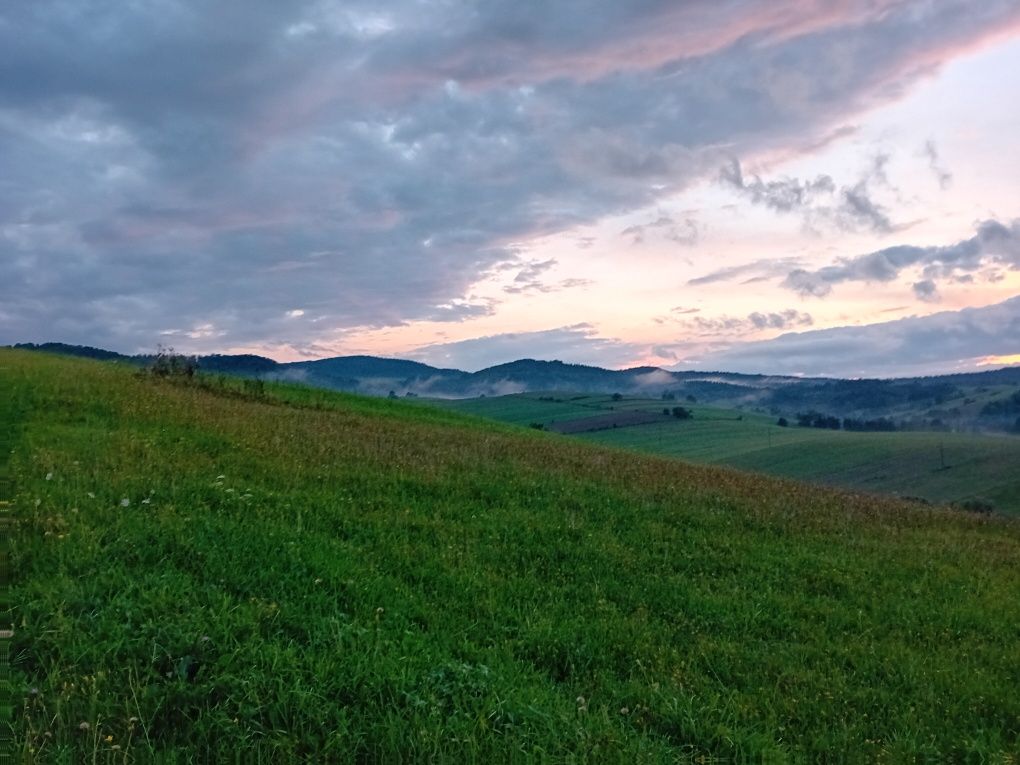 Więźba dachowa drewno konstrukcujne