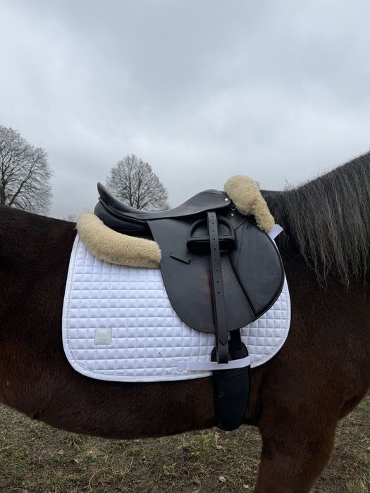 Siodło wszechstronne o profilu ujezdzeniowym