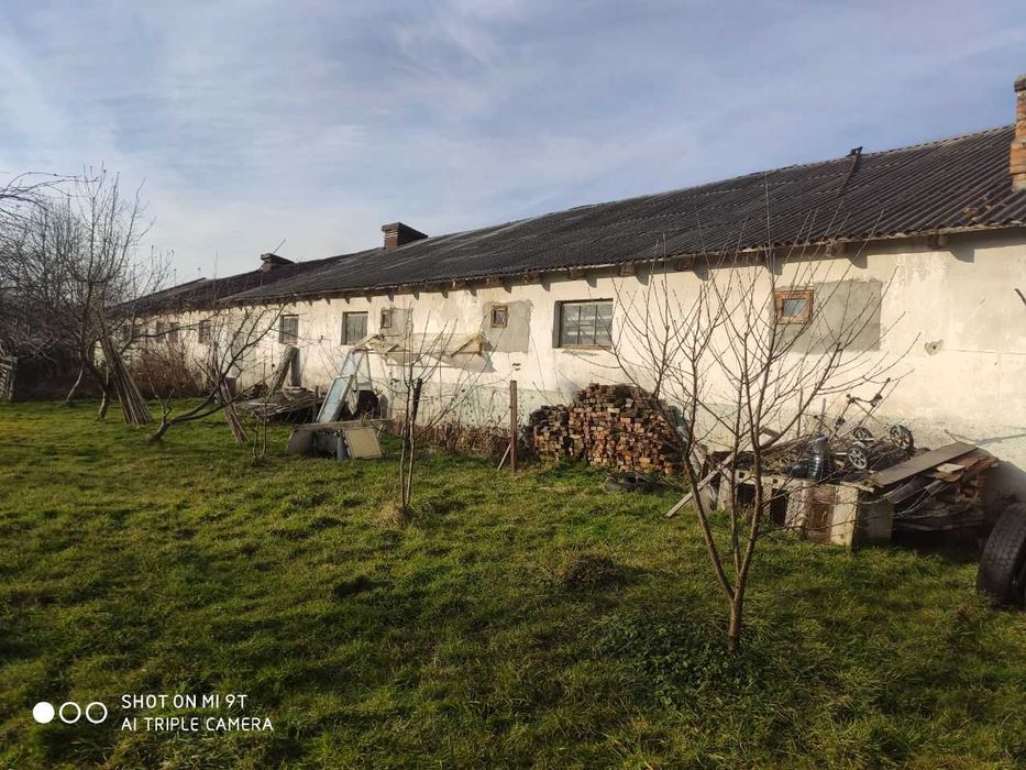 Ферма / Приміщення ферми/ сільсько господарське приміщення