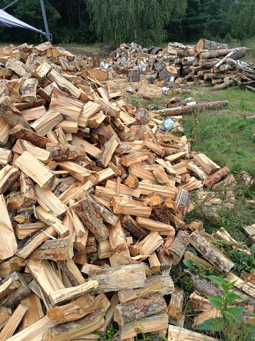 Drewno opałowe kominkowe
