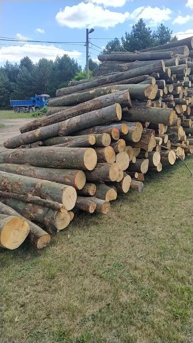 Drewno opałowe, kominkowe, brzoza, buk