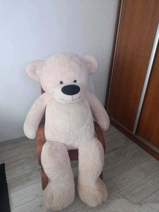 Ogromny pluszowy miś – 200 cm!
