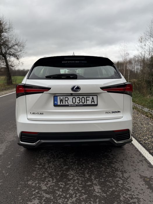 Lexus NX300H/Salon Polska/ jeden właściciel/ igła x6 x4 rav4 jeep