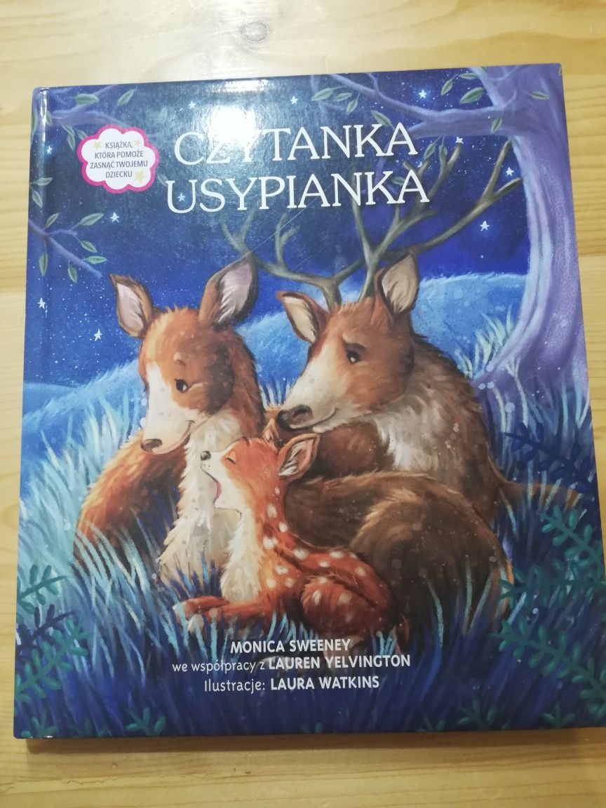 Książka dla dzieci czytanka usypianka