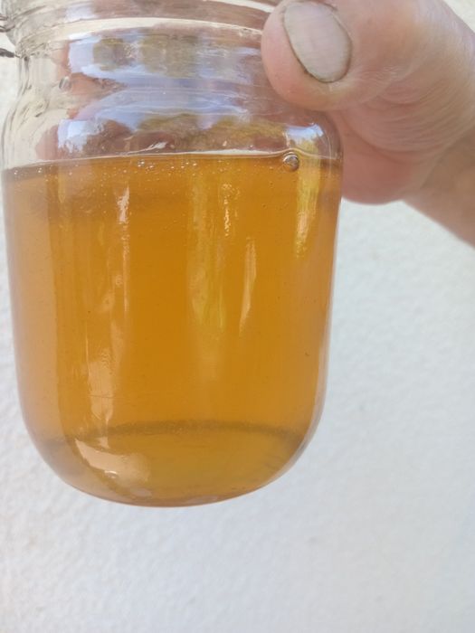 Мед травневий+акація 2025р - 230 грн за 1 л