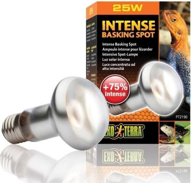 exo terra intense basking spot 25w (żarówka grzewcza)
