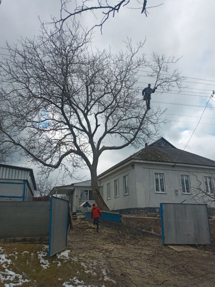 Зріз, обріз, спилювання, складних дерев. Утеплення квартир