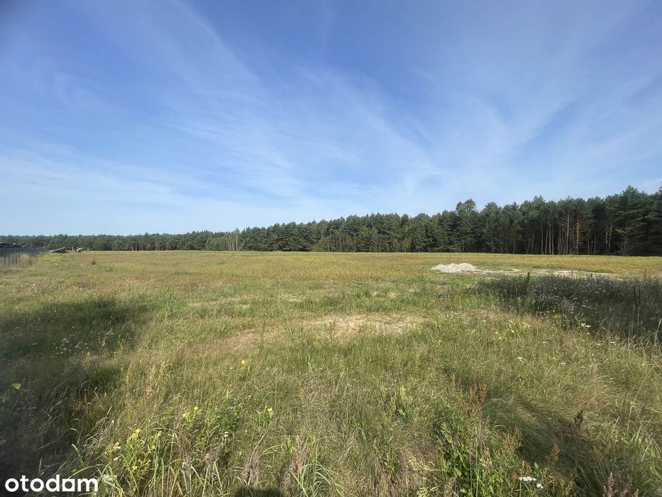 Działka Budowlana Olsztyn Piasek w Sercu Jury Krakowsko-Czestochowskie