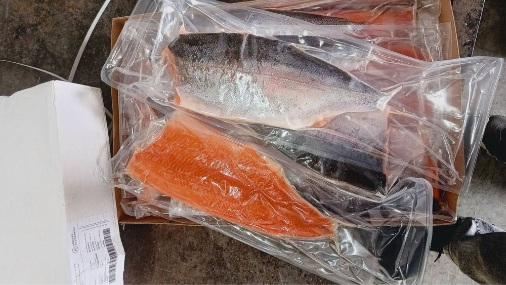 Продам філе сьомги,форелі