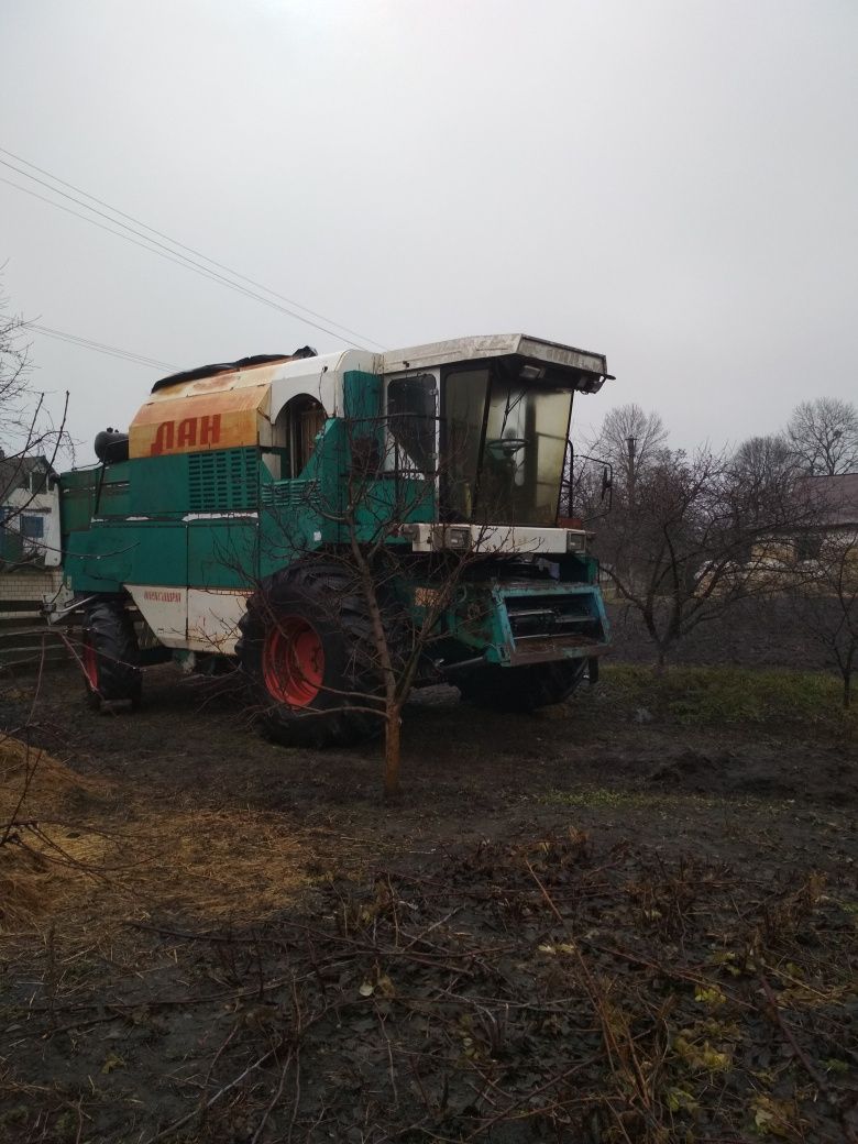 Клас домінатор (лан)