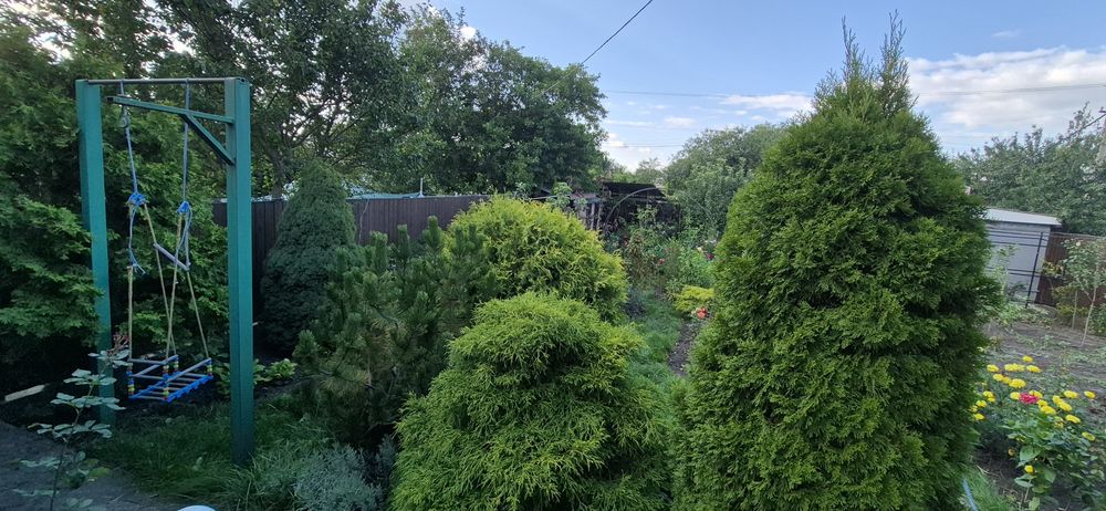 Продам шикарну дачу в якій можна жити поруч блакитні озера