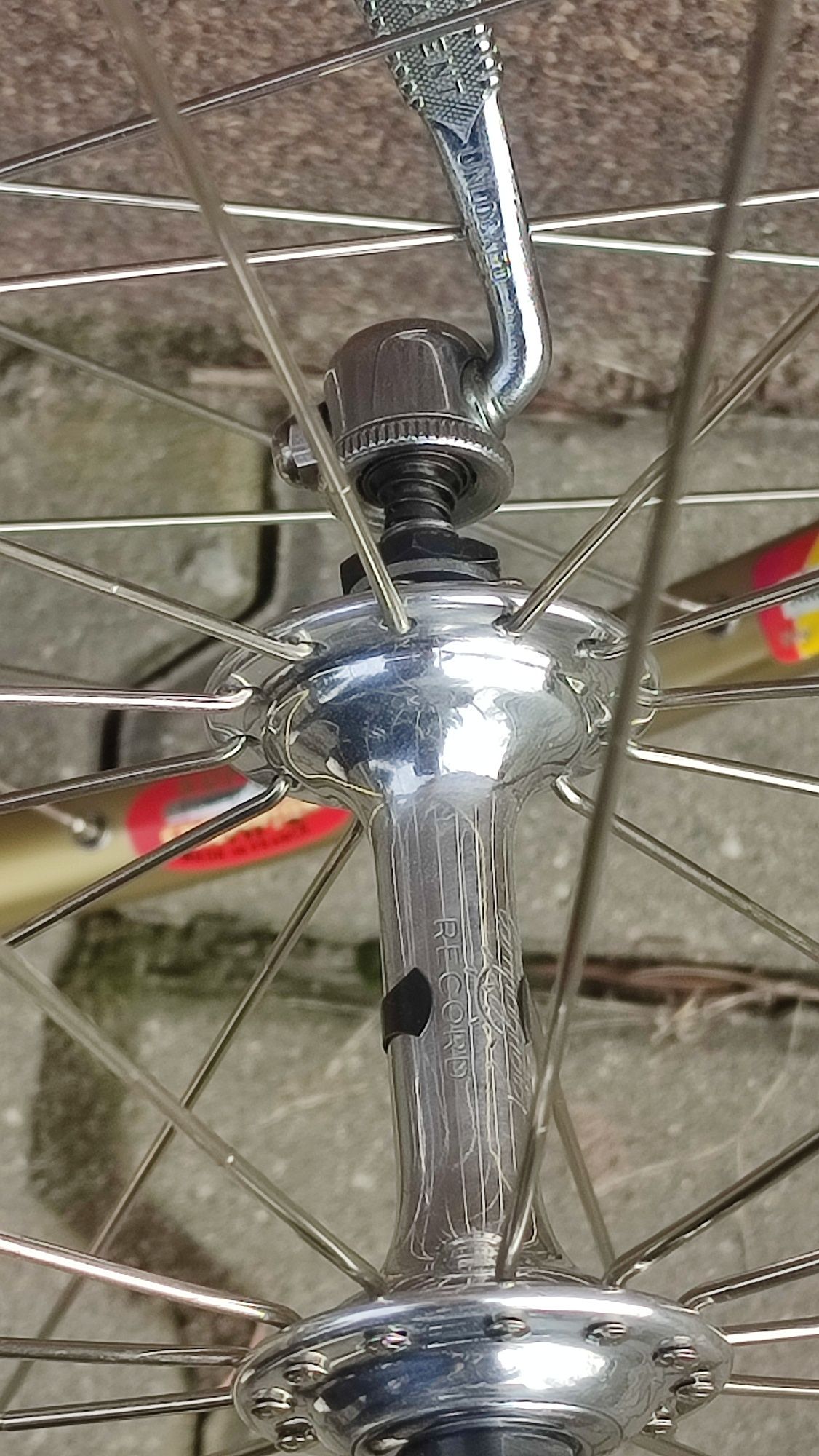 Koła Campagnolo record na obręczach super champion
