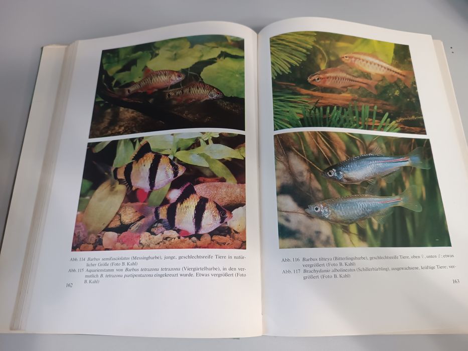 Каталог аквариумных рыбок. Гюнтер стерба 1971 год. Отпечатано в  ГДР