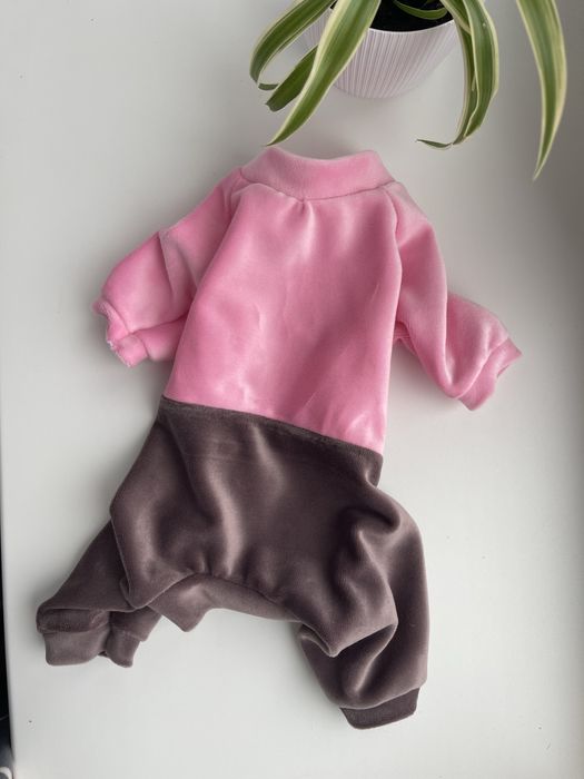 Одежда на собак мелких пород