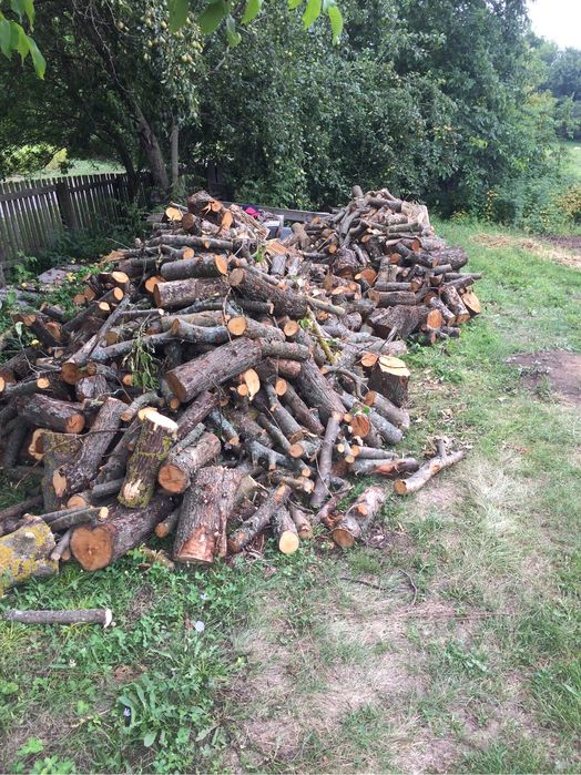 Продам дрова в кузові 8 кубів / Машина дров Дуб Клинок верба кленок