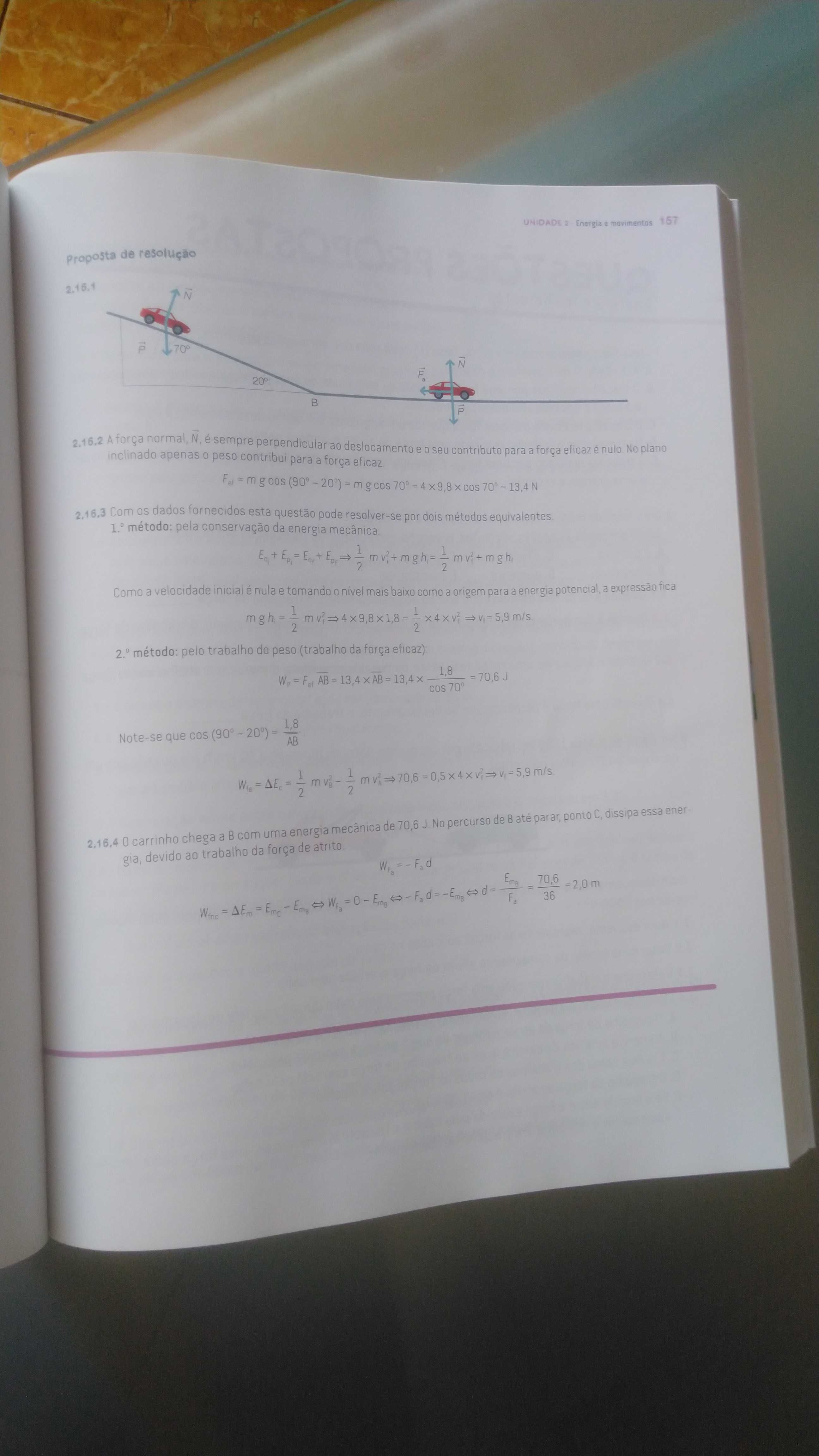 Livro para Exame - Física e Química 11