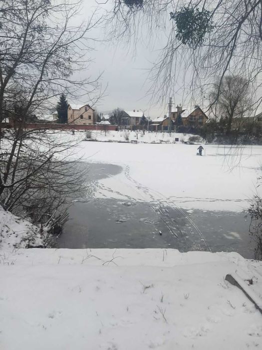 Дом Баня Купель Мангал посуточно Киев Осокорки