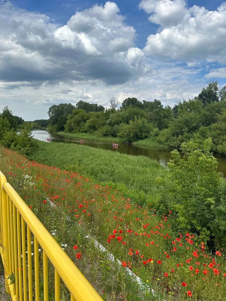 Przepiękna działka rekreacyjna ROD nad Wkrą!